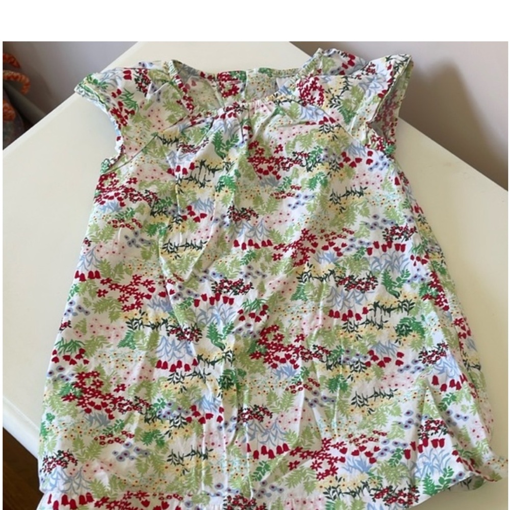 Hanna Andersson Floral Kids Dress - Red, Green, White